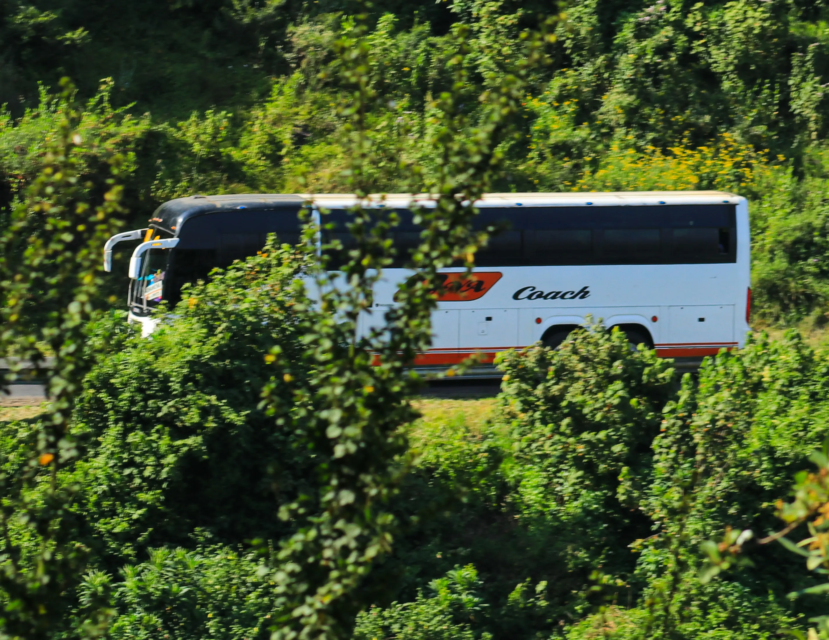 ENA Coach gallery image 11